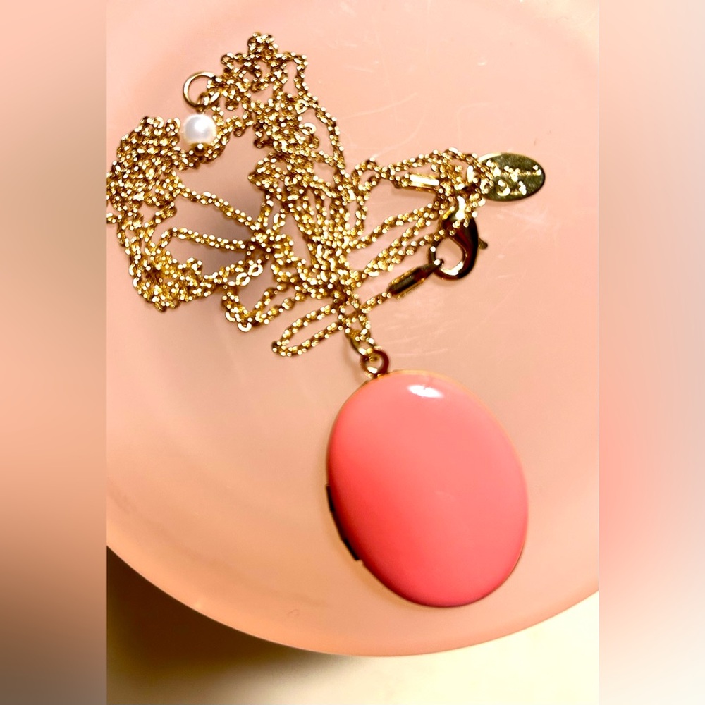 ORAGAMI OWL  Oval Coral Color Picture Locket